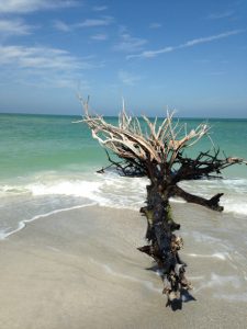 Longboat Key